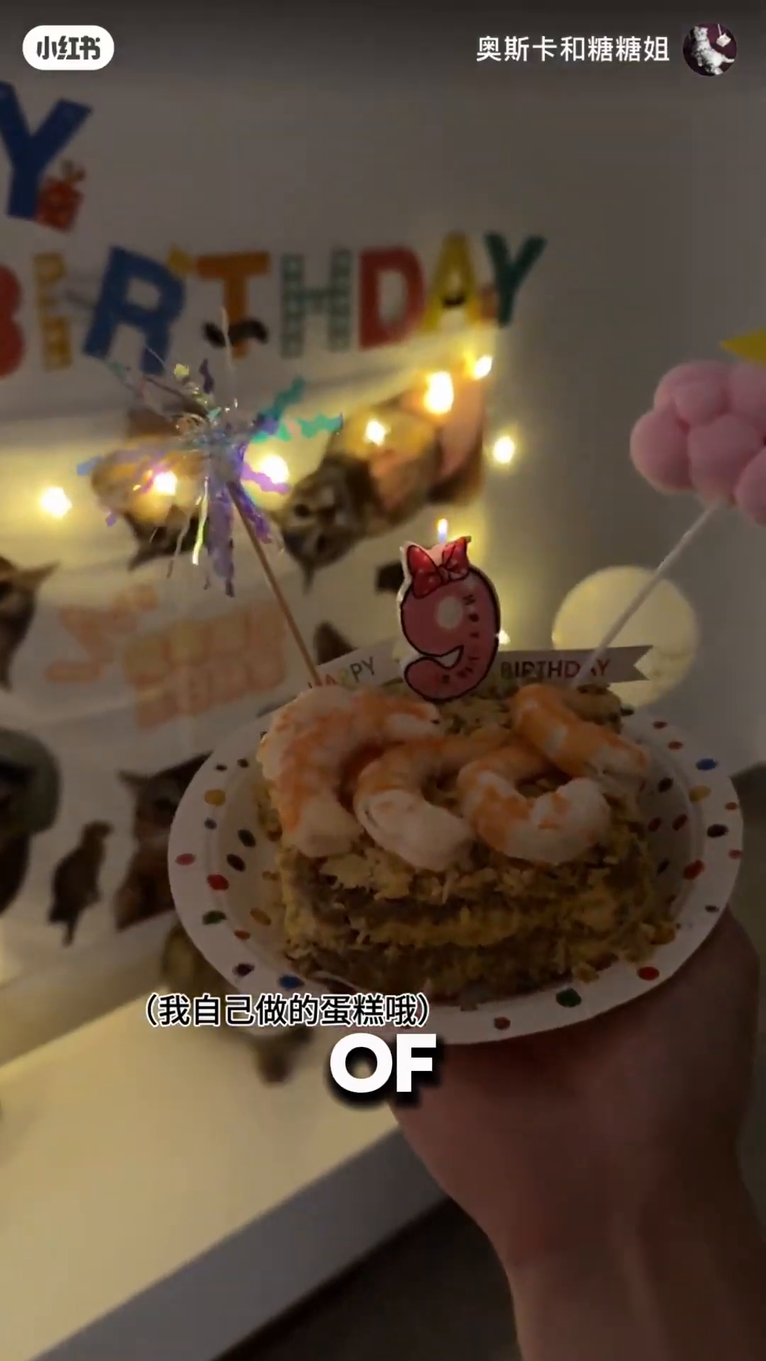 A close-up of a cat-themed cake topped with shrimp and a number 9 candle.