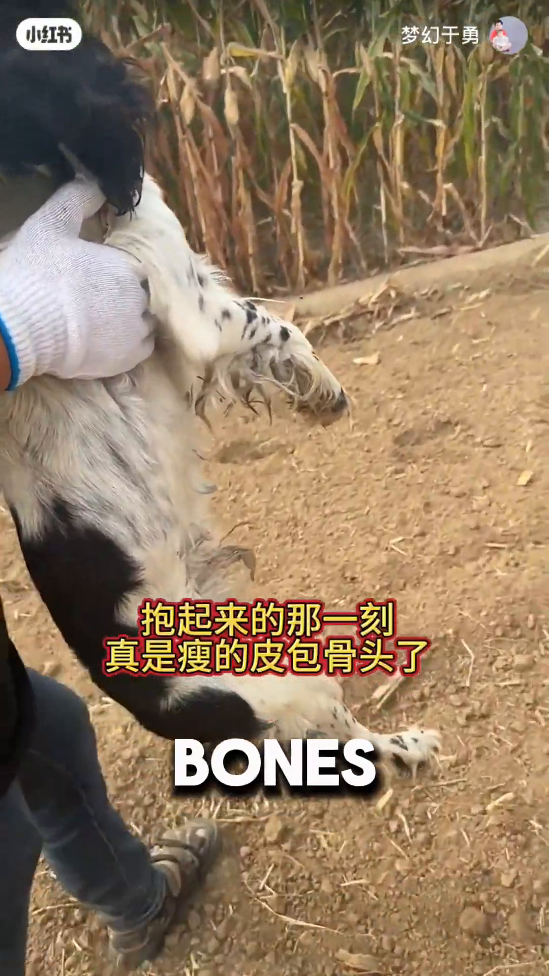 A man is holding a very thin dog, showing its emaciated state.
