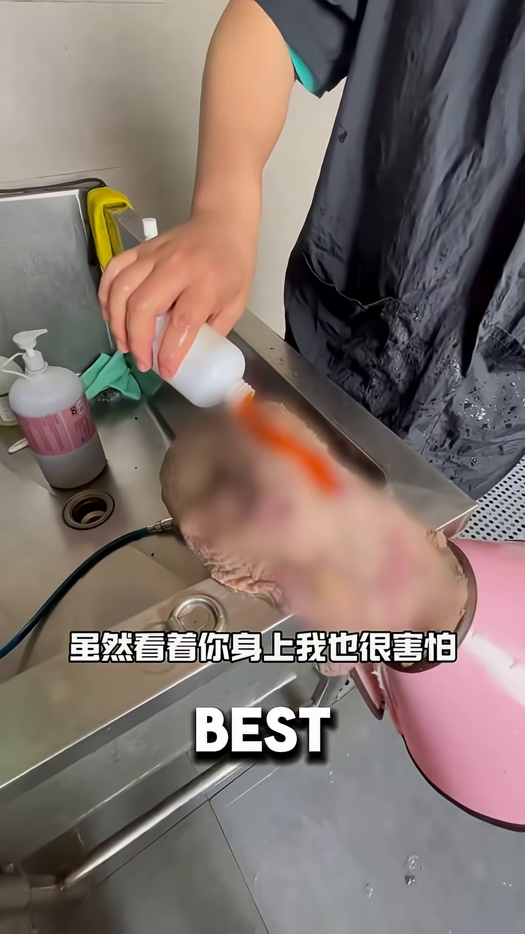 A dog is being bathed in a sink, looking scared but cooperating.