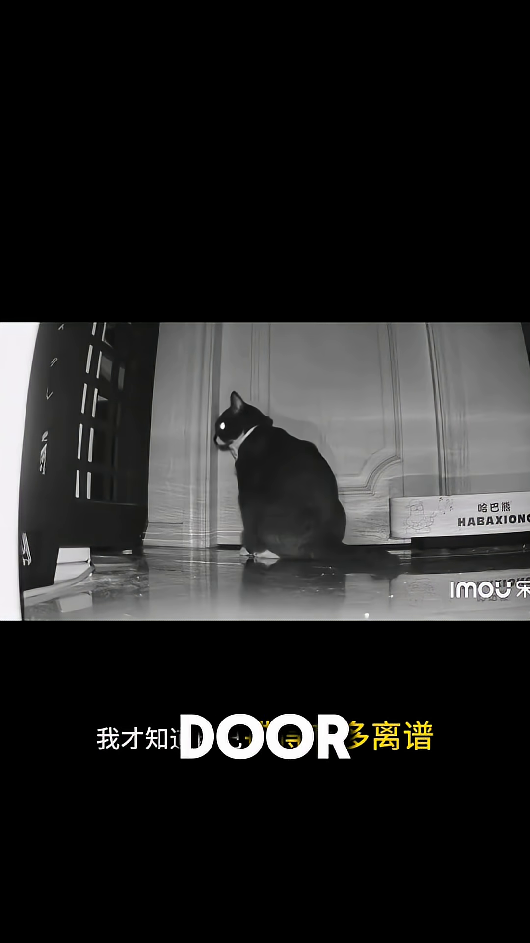 A black and white cat sits patiently in front of a door, its eyes glowing in the dark.