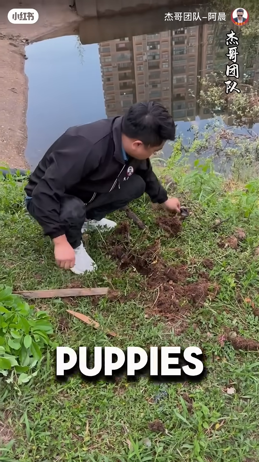 A person burying two small puppies in the ground.