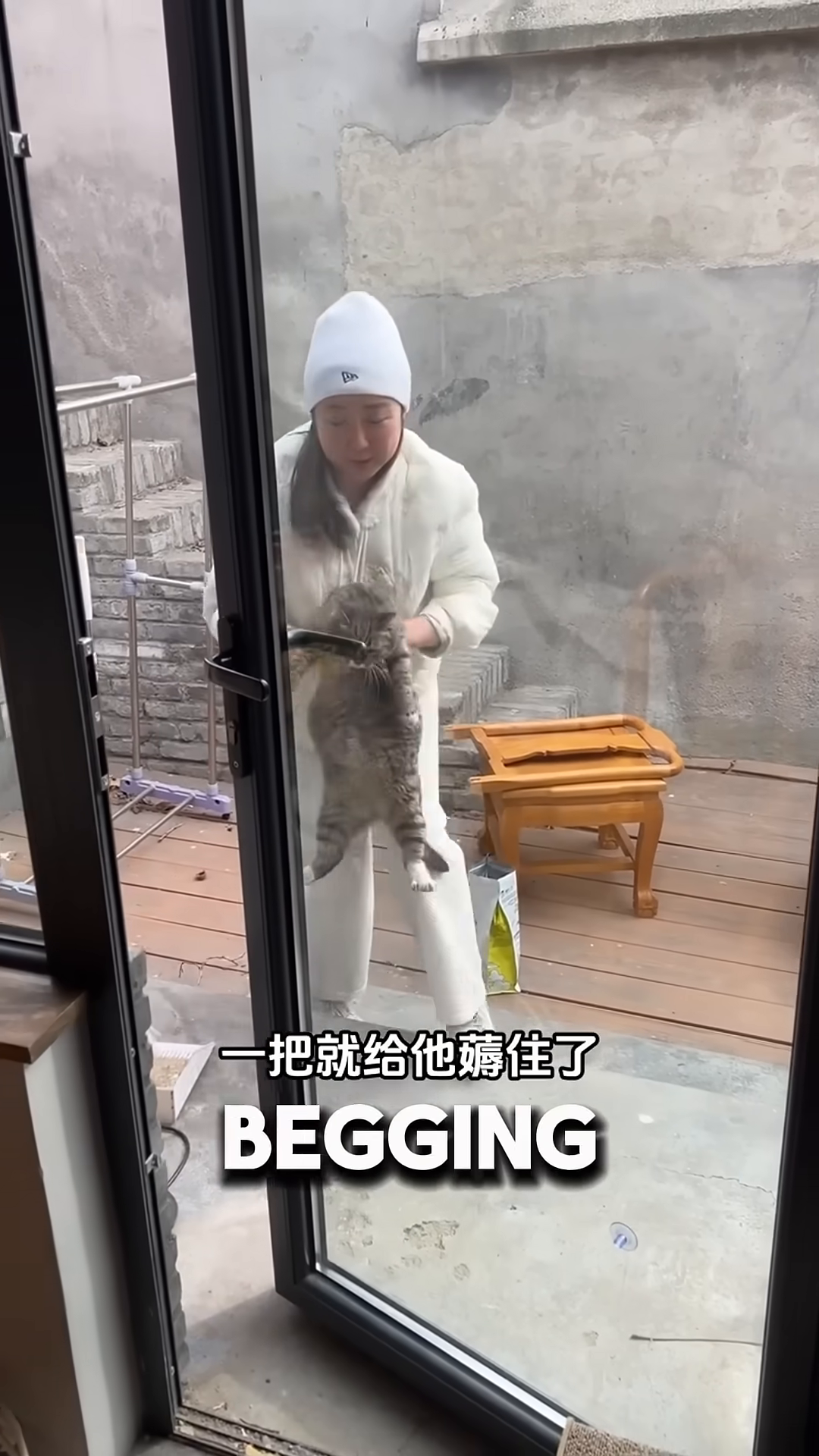A woman is holding a pregnant tabby cat, looking concerned as she brings her inside.