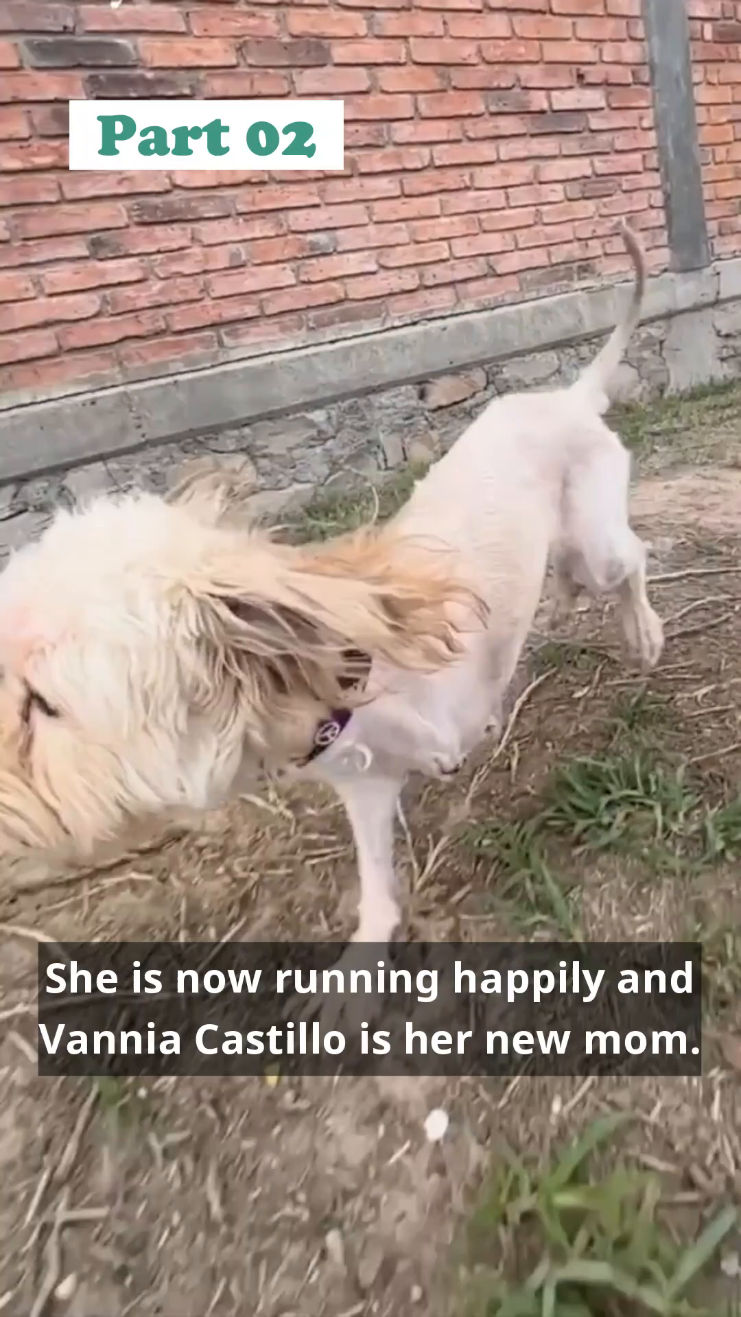 Little Tres running happily outdoors with her new mom, Vannia Castillo.