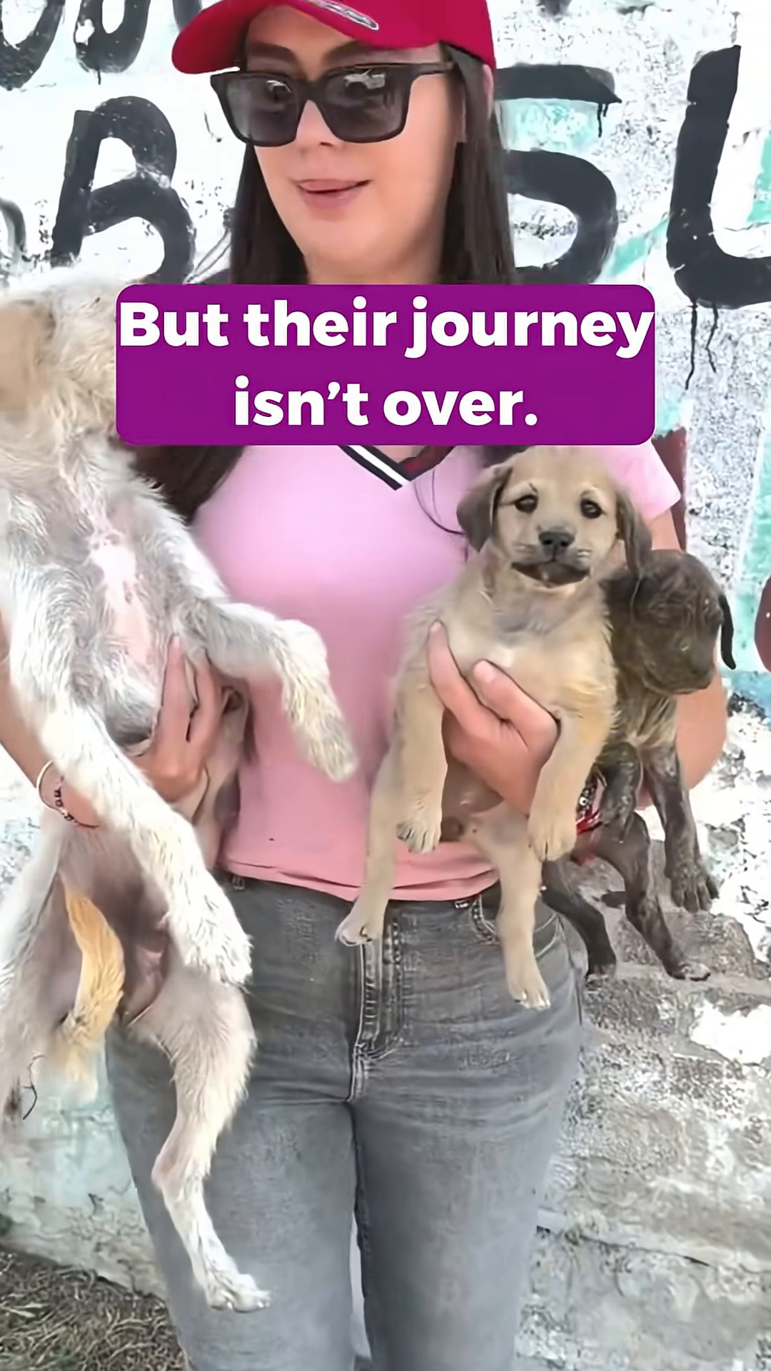 A woman holding the rescued mother and puppies, smiling.