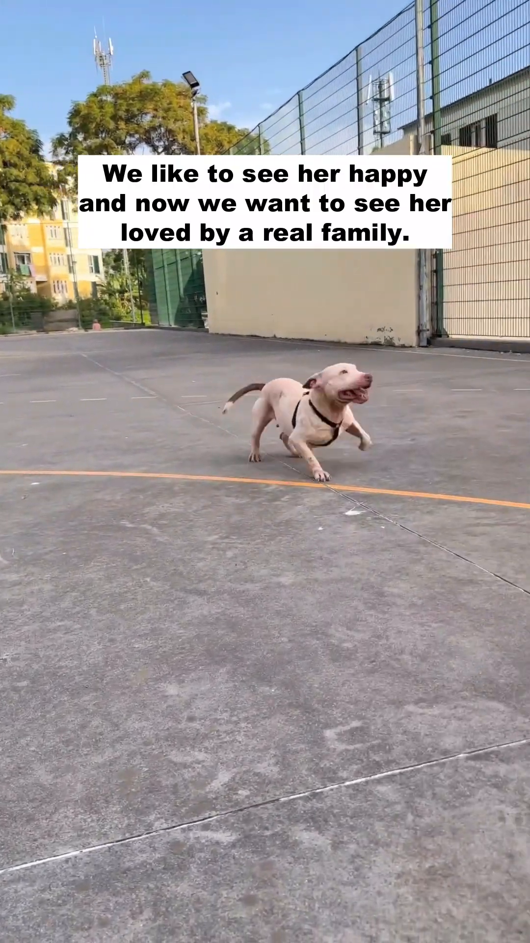 Alice running happily in an open outdoor area.