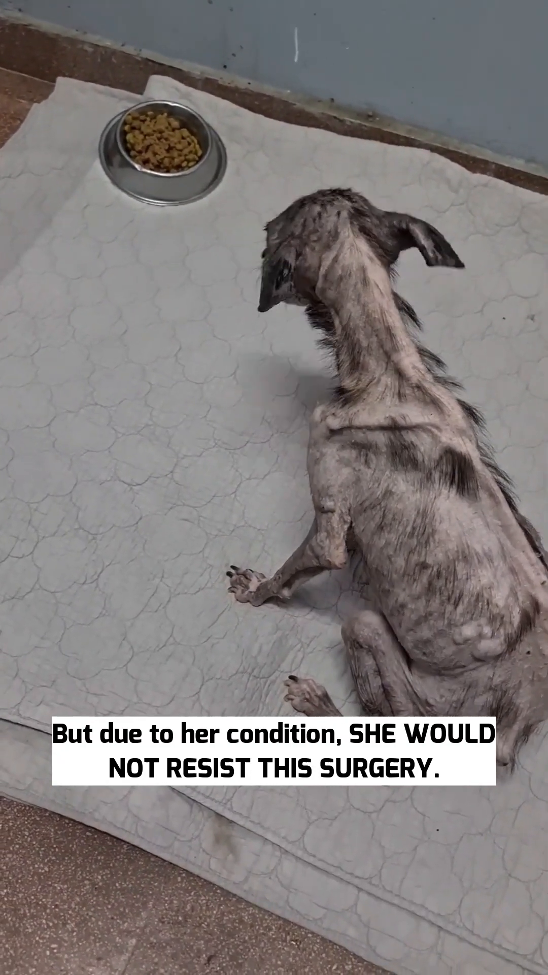 Angela is shown eating from a bowl, a small sign of her ongoing fight.