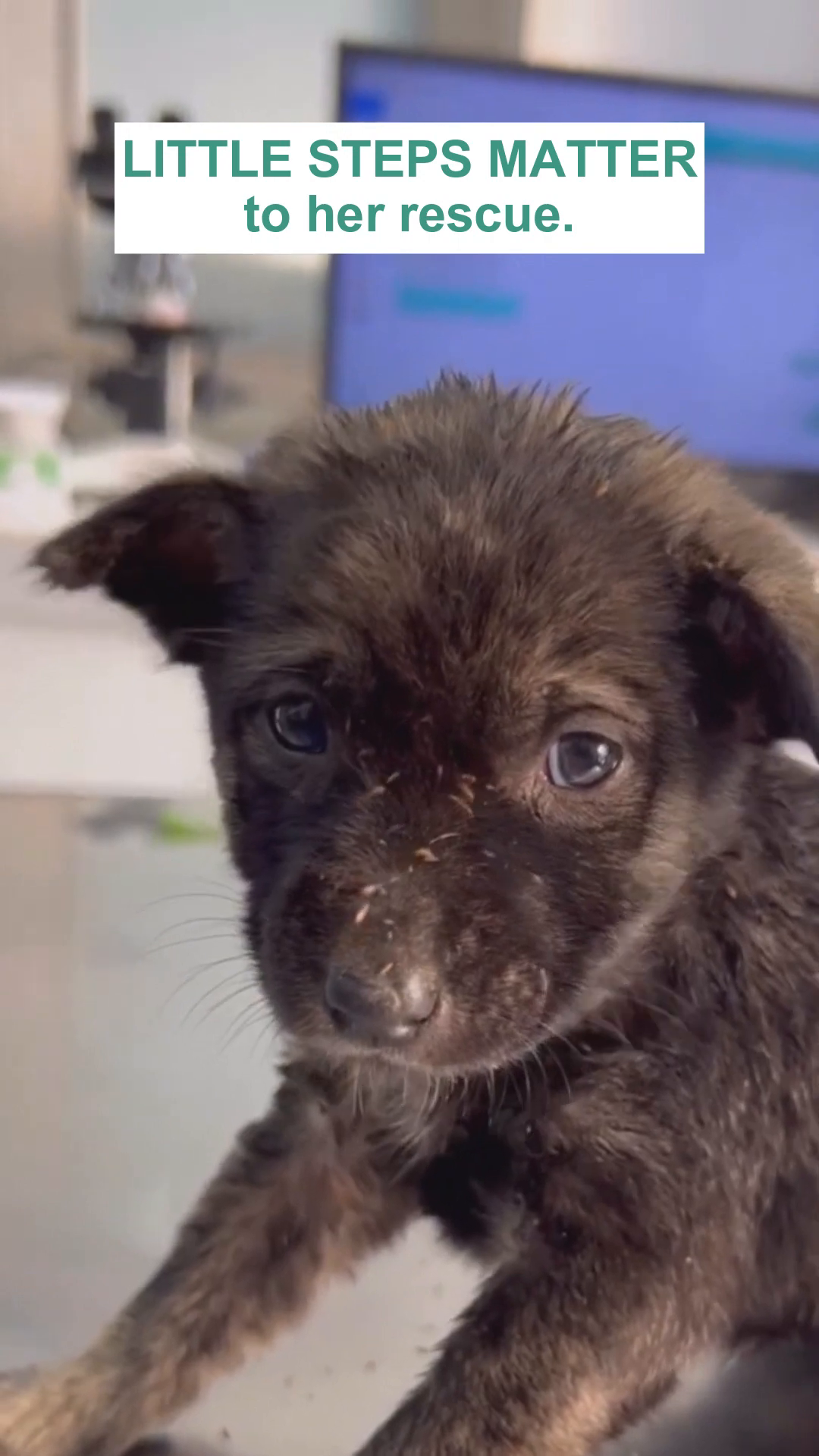 A puppy is eating eagerly from a bright pink bowl filled with food.
