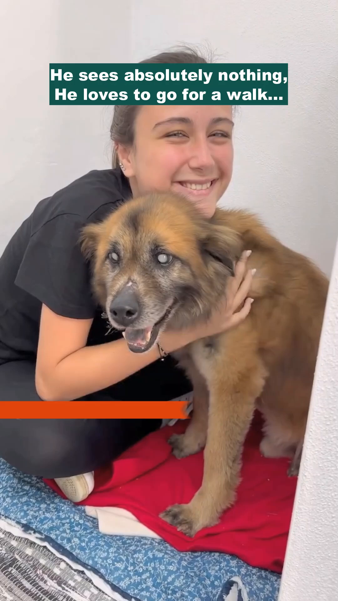 A smiling woman hugging a dog, both looking happy and content.
