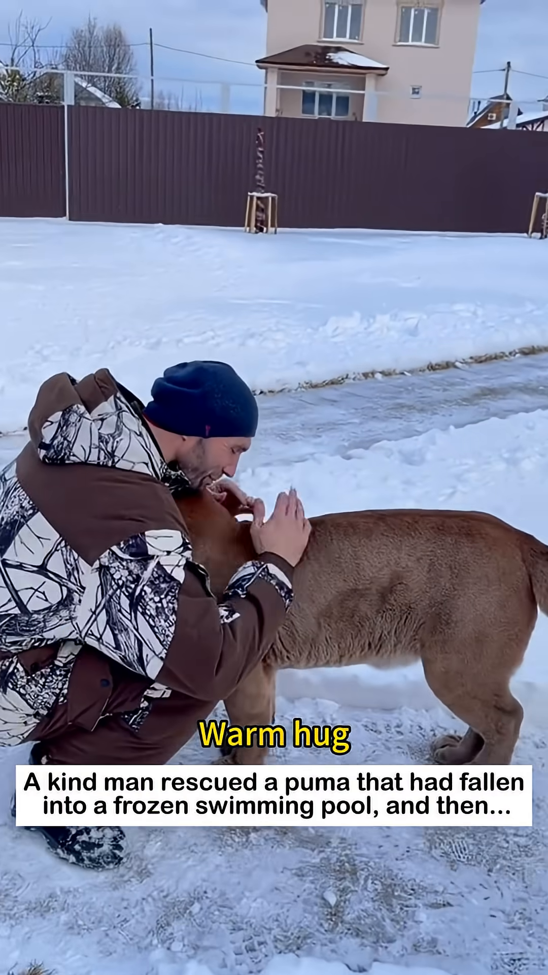 The man and the puma embracing warmly in the snow.