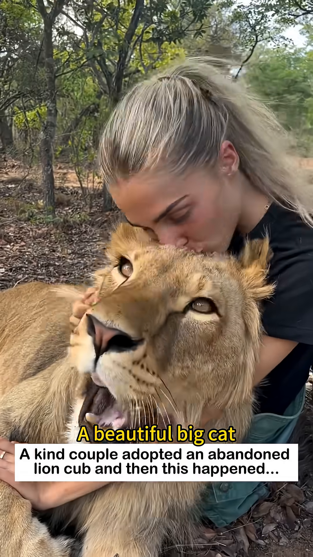 A woman embracing a large, healthy lion, showing their deep bond.