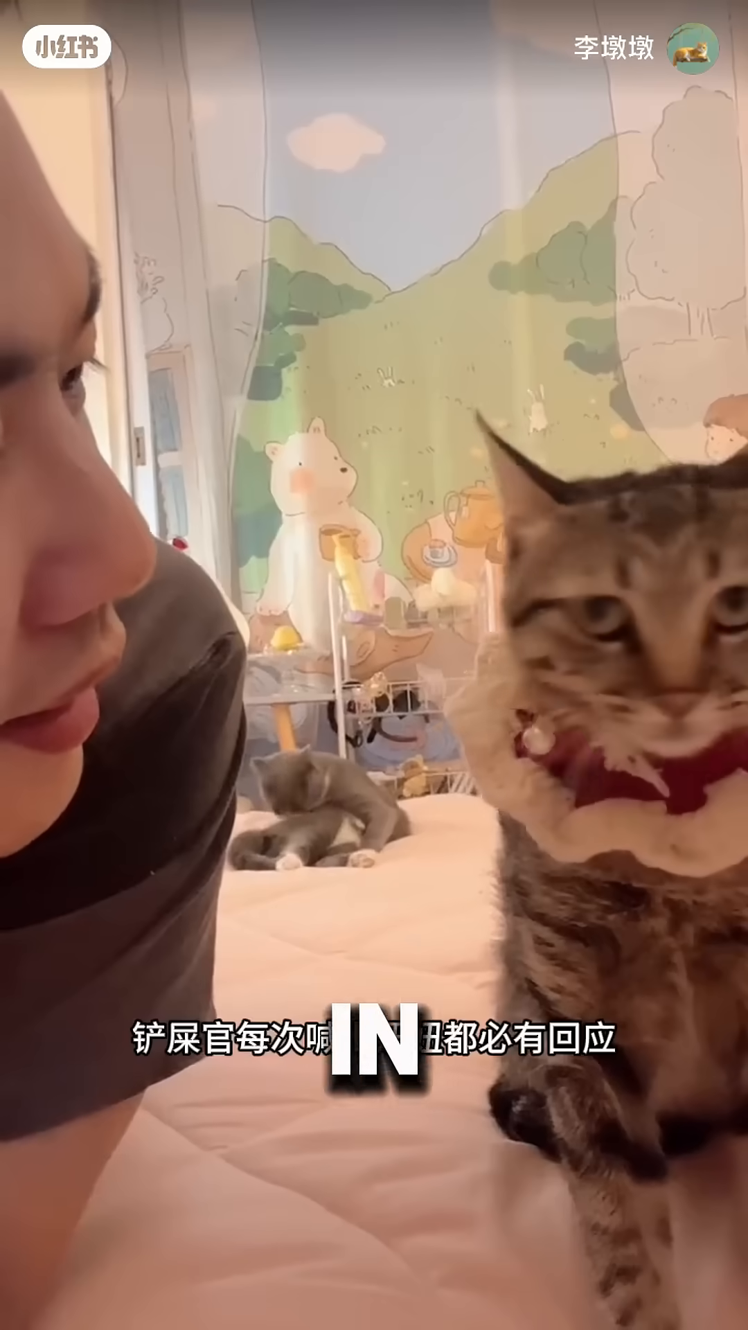 A person gently pets a cat, both appearing content and connected.
