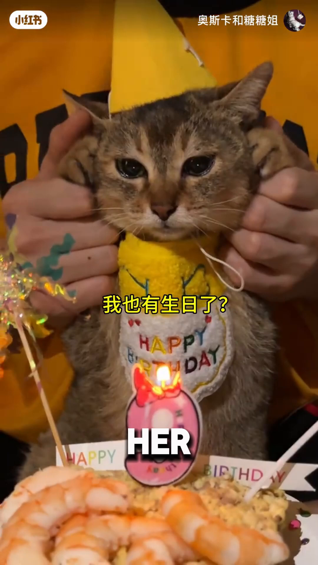 A cat wearing a birthday hat looks at the camera with teary eyes.