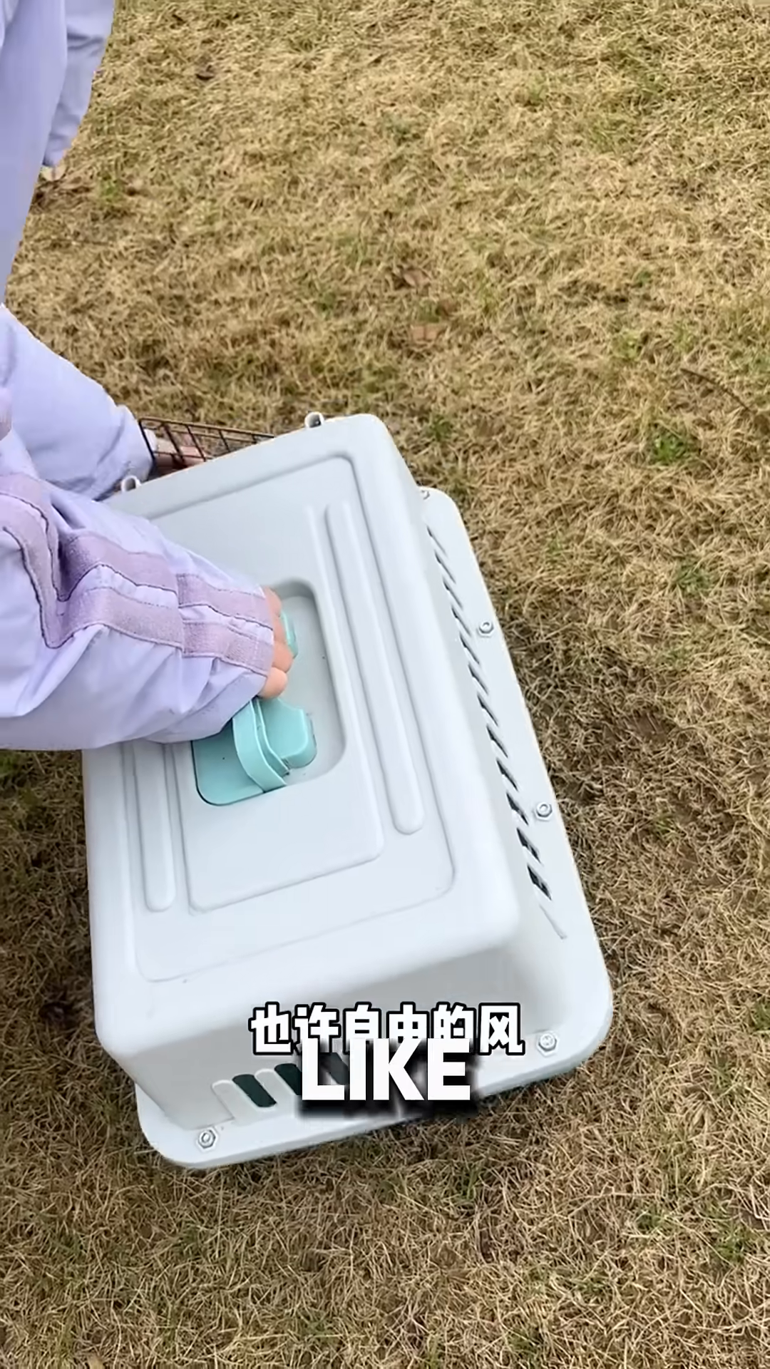 A person is opening a cat carrier outdoors, with a ginger and white cat walking away into the grass.