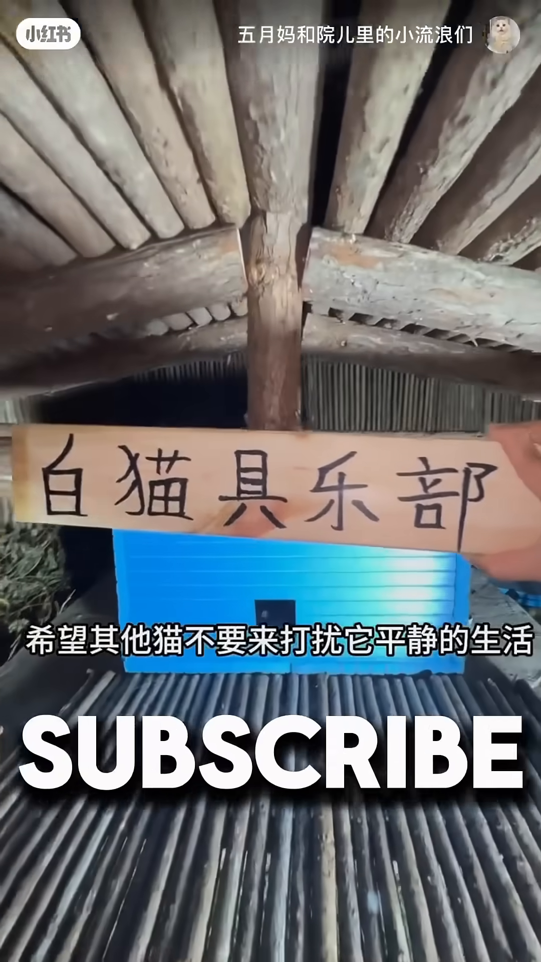 A small wooden sign hangs above the blue cat shed, indicating a 'White Cat Club'.