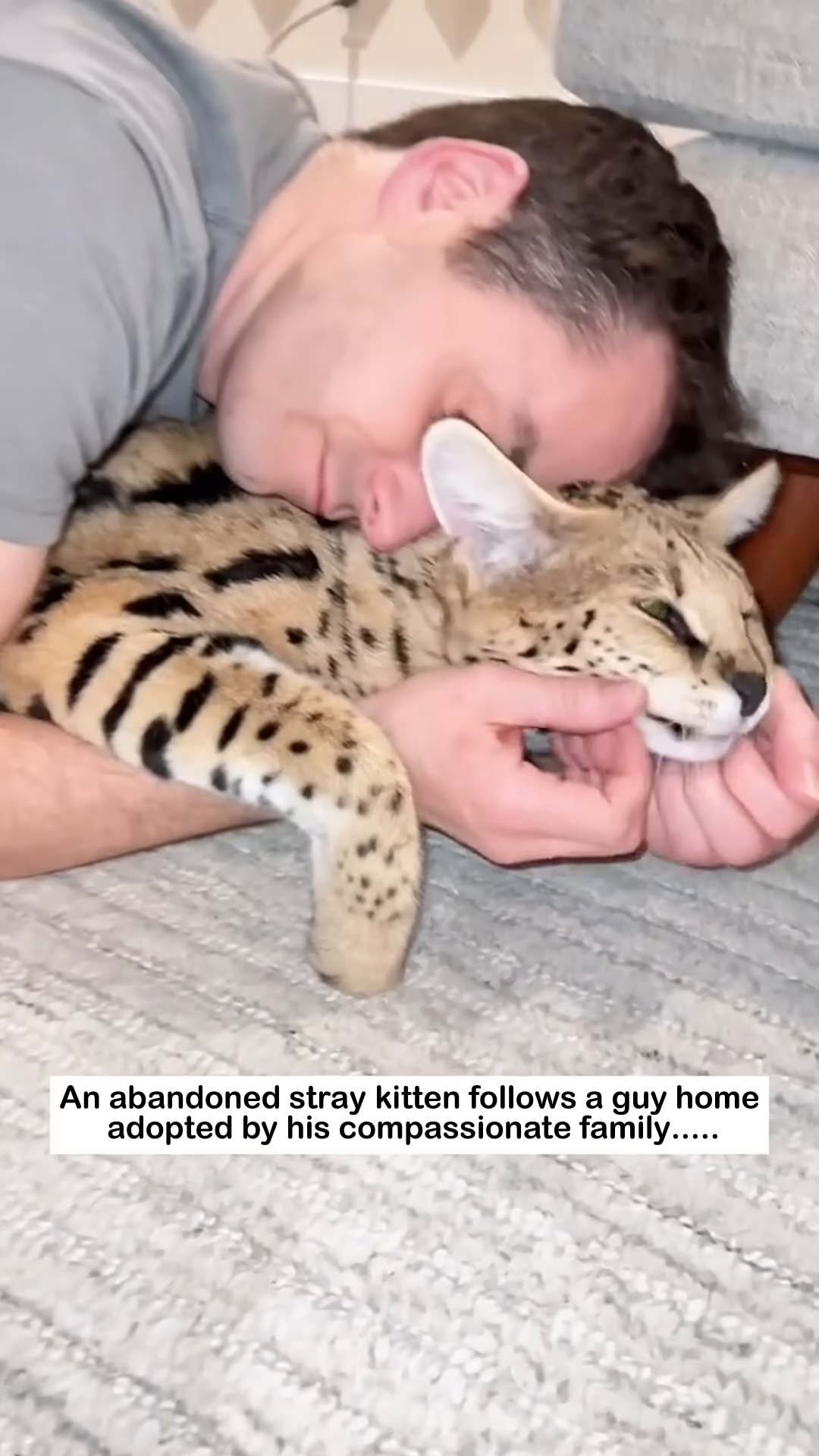 A man lies on the floor, holding and cuddling a contented kitten.