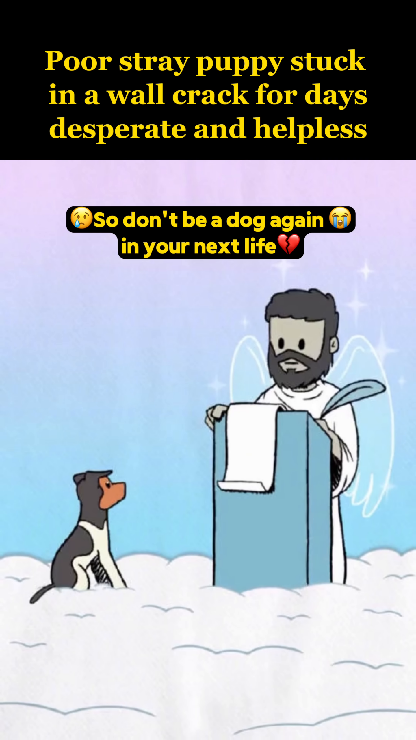 An animation shows a dog sitting in clouds before a figure with wings, with text about its next life.