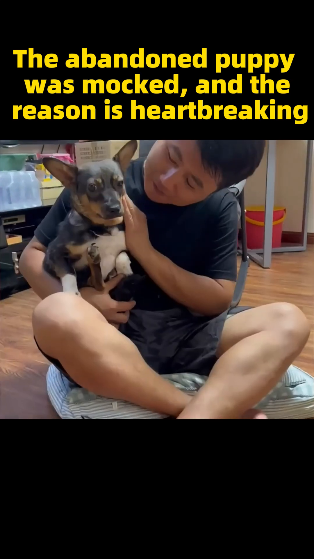 The puppy is being cuddled by a person, looking content and loved.