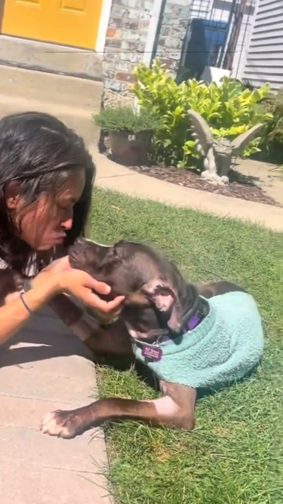 Kirby, wearing a light blue sweater, nuzzles against a person's face, showing affection.