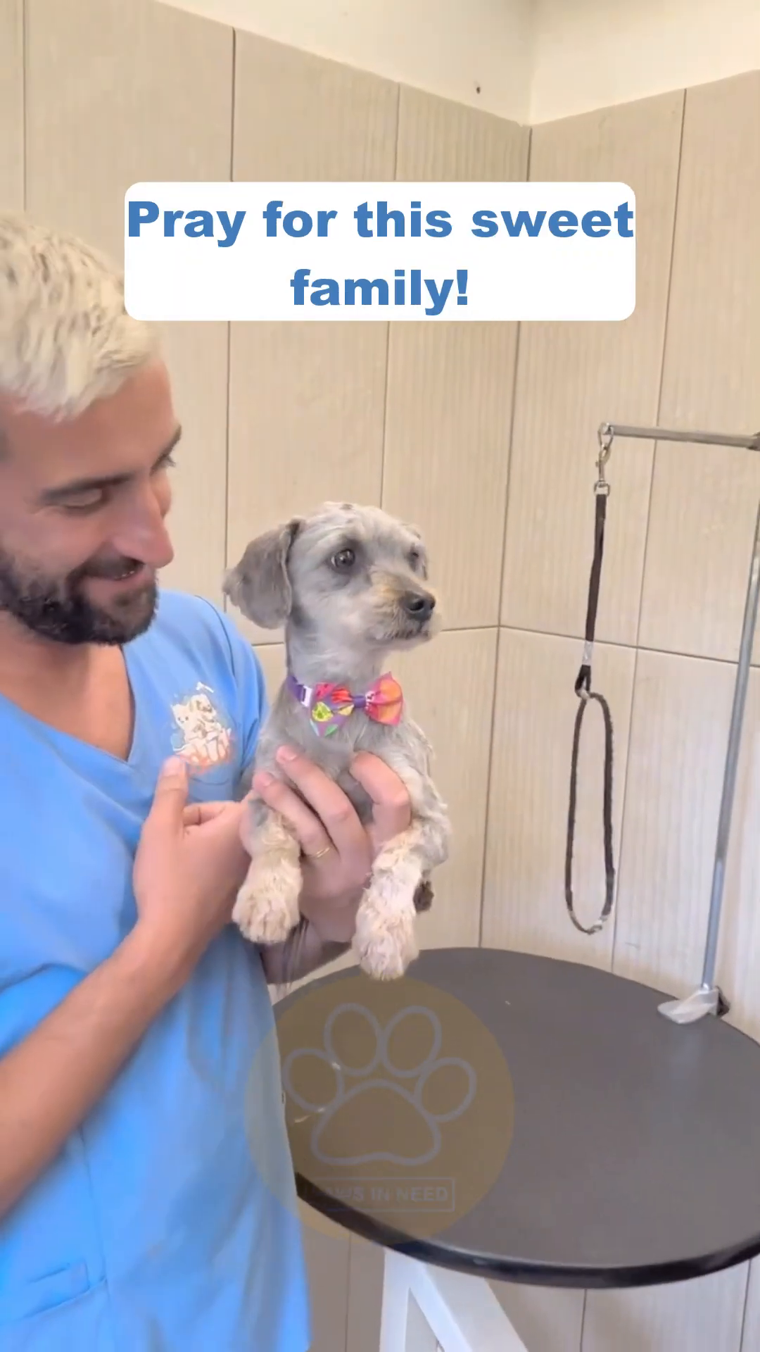 A man is smiling, holding a small, clean dog wearing a colorful bow tie.