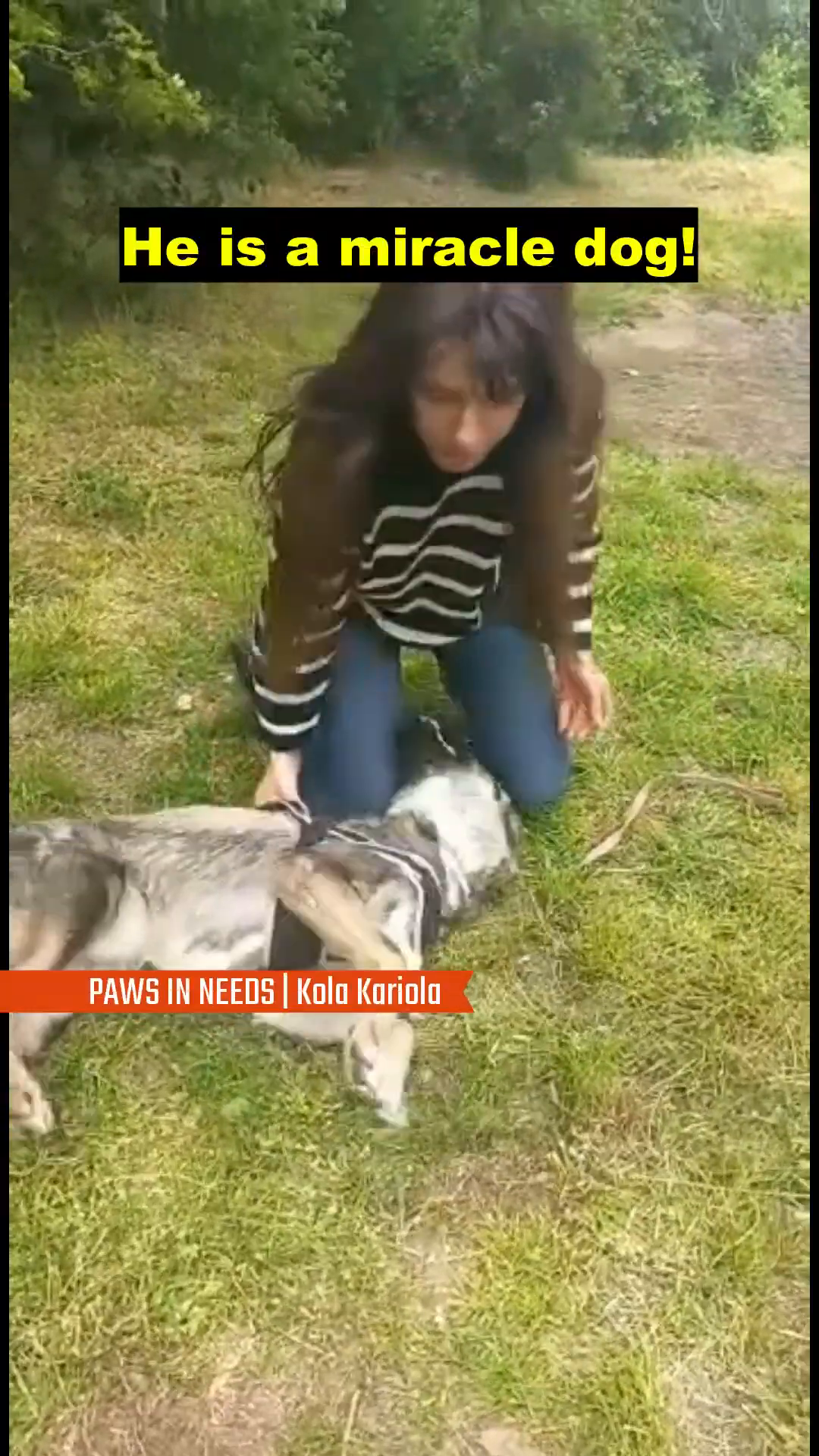 A woman kneeling and interacting playfully with Spike outdoors.