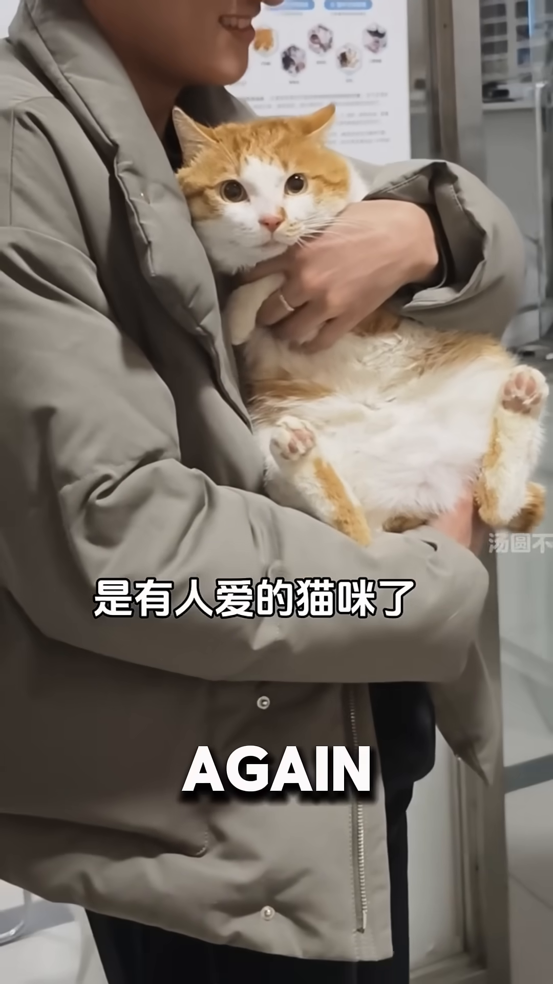The new owner lovingly holds the cat, who looks content.