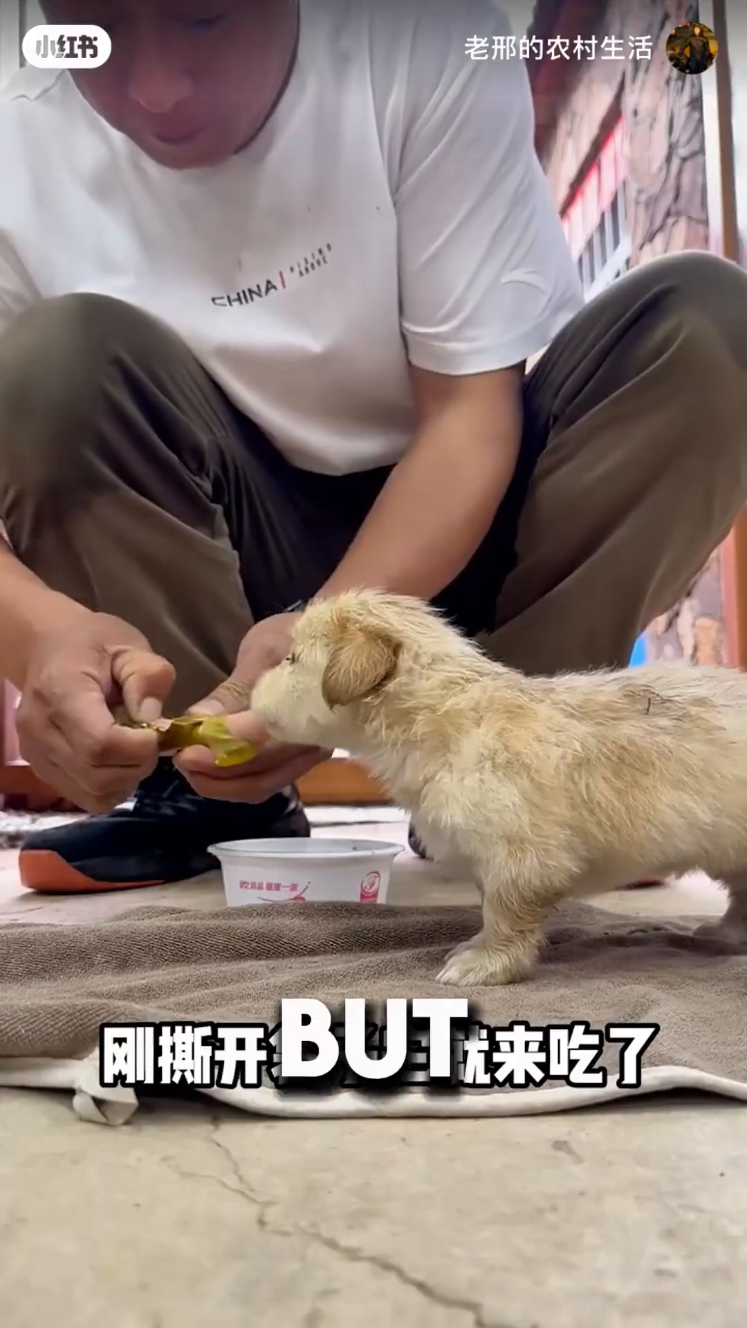 A small puppy is eagerly eating a piece of sausage from a man's hand.