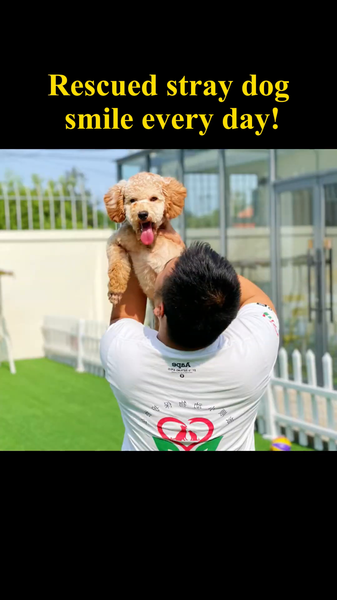 A man holding the happy, smiling dog, both radiating joy.