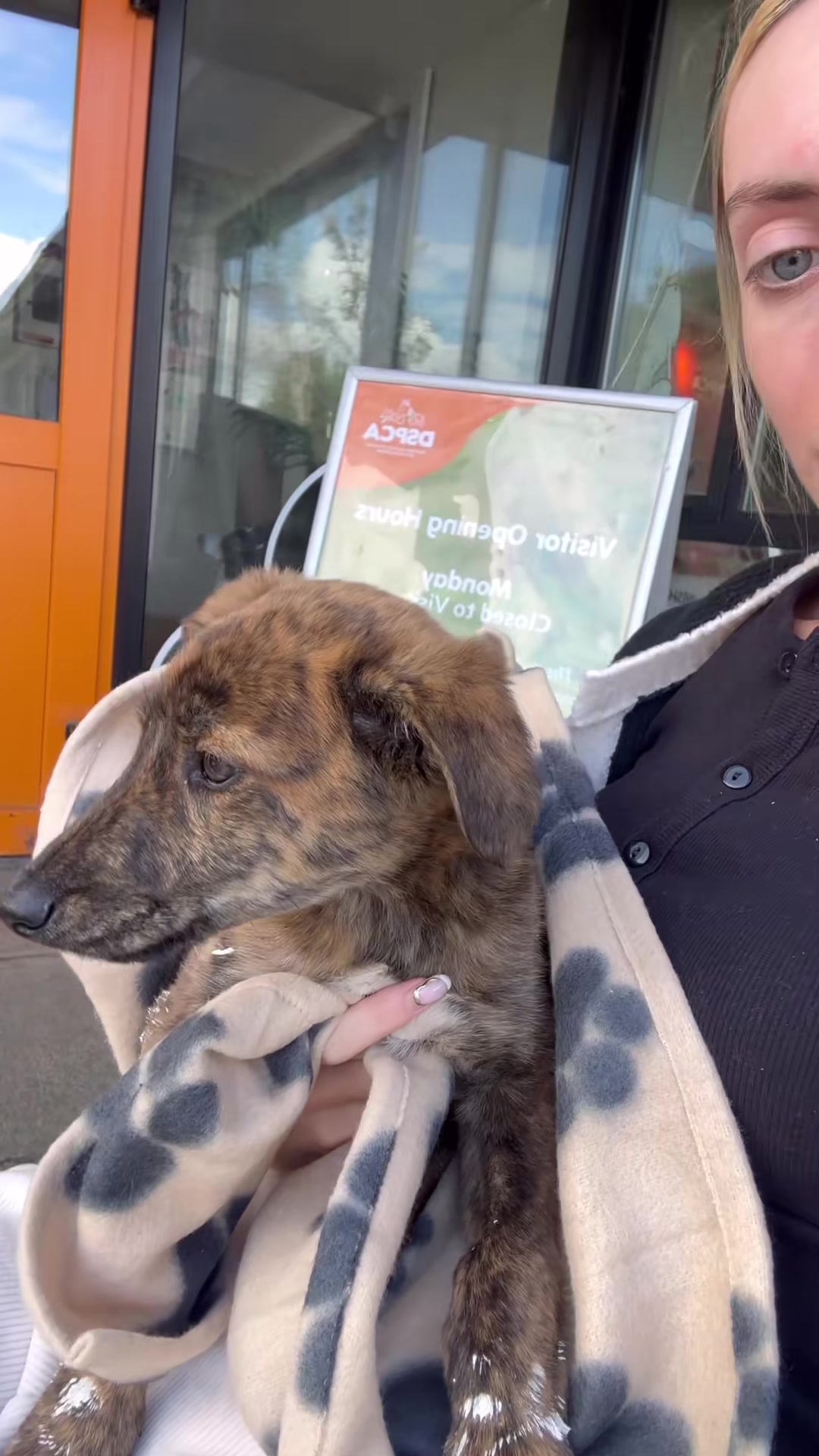 A woman carries a small brindle puppy wrapped in a blanket outside.